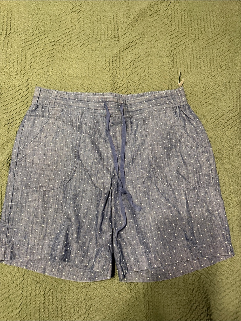 Talbots Blue Dot-Pattern Drawstring Shorts